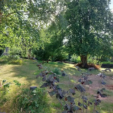 Grosse, Helle Mit Sonnigem Balkon شقة